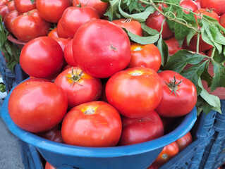 Fruits and Vegetables on display at a market