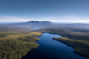 Aerial view of a serene lake surrounded by lush green forests under a clear blue sky.