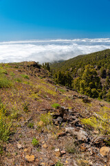 Llano de Las Ánimas - La Palma