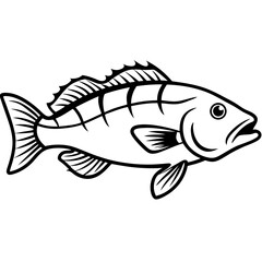 Grouper line art vector