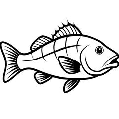 Grouper line art vector