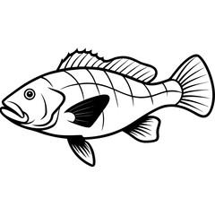 Grouper line art vector