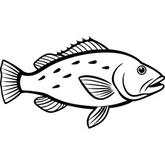 Grouper line art vector