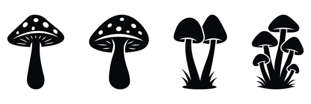 Mushrooms silhouettes set isolated flat vector illustration. Mushrooms silhouette in black. Mushroom and toadstool collection. Set of mushrooms silhouettes. Mushrooms with grass silhouette