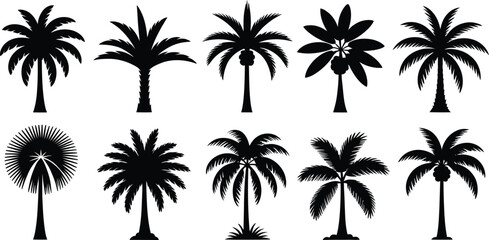 Collection of diverse palm tree silhouettes for tropical and beach designs