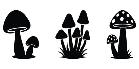 Wild mushroom vector silhouettes. Black silhouettes of mushroom icons isolated on white background. Flat nature fungi, black mushroom silhouettes with simple, clean shapes ideal logos or icons