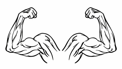 Illustration of two flexed arms showing biceps muscles in black and white drawing style design art