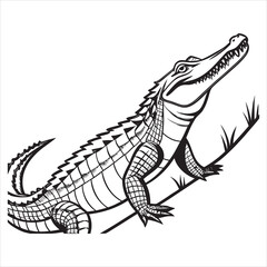 Printamerican-alligator-vector
