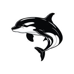  Orca Whale