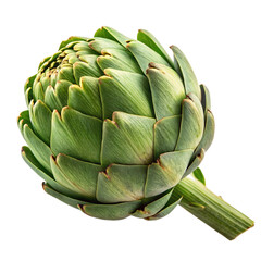 Obraz premium Close-Up of Fresh Green Artichoke – High-Resolution Isolated Vegetable Image