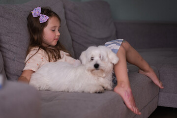 Beautiful little white girl and her white puppy are sitting on the sofa in the room. The girl is...