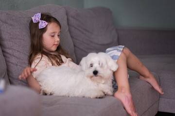 Beautiful little white girl and her white puppy are sitting on the sofa in the room. The girl is looking at the tablet, and the dog is lying next to her. Cozy home atmosphere of life with pets