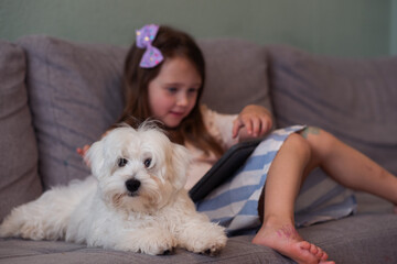 Beautiful little white girl and her white puppy are sitting on the sofa in the room. The girl is looking at the tablet, and the dog is lying next to her. Cozy home atmosphere of life with pets
