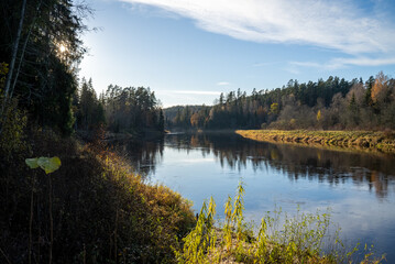 Serene river landscape surrounded by lush trees and a clear blue sky in autumn light