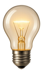 Illuminated light bulb.