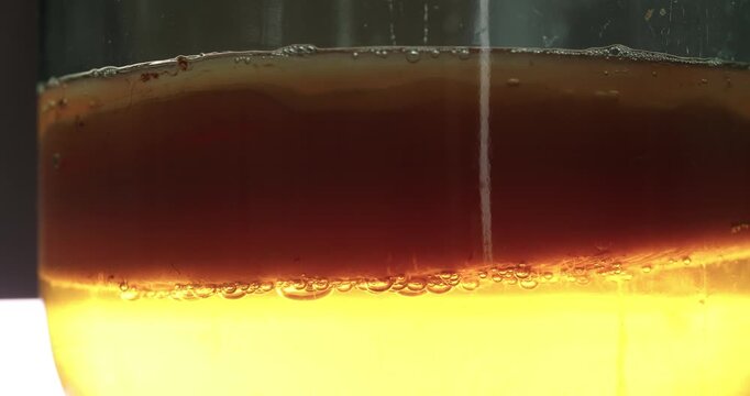 Learn the process of brewing kombucha at home, focusing on the fermentation techniques and health advantages of prebiotics. Join us for a trendy exploration of this popular beverage.