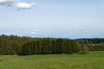 Fototapeta premium Lush green field meets dense forest under a clear blue sky in a tranquil rural setting during late spring