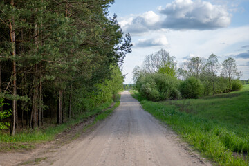 Fototapeta premium Scenic dirt road surrounded by greenery under a cloudy sky in springtime