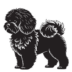 black bichon Silhouette Vector, High Quality Illustration on White Background