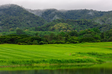 Obraz premium Idyllic landscape with winding river, rolling hills, and mist drifting through pine forests. Wind-swept trees along a mountain river under dramatic sky with moving clouds.