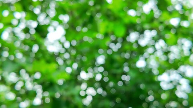 Vibrant natural spring bokeh background dazzles with rich green tones, evoking sensations of warmth, growth, and energy in blooming landscapes of nature