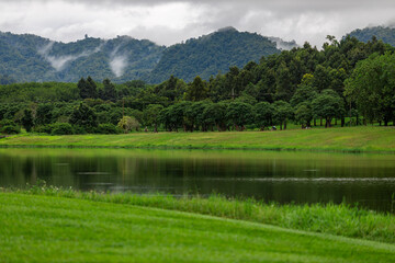 Idyllic landscape with winding river, rolling hills, and mist drifting through pine forests.
Wind-swept trees along a mountain river under dramatic sky with moving clouds.