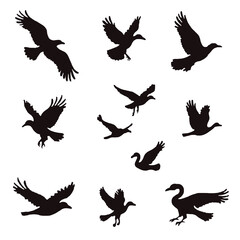 Collection of Black Bird Silhouettes:  Elegant, Minimalist Vector Graphics for Design Projects.