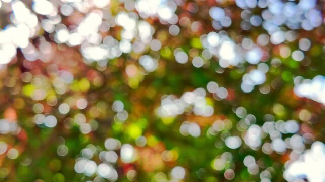 Illuminated bokeh background representing beauty of natural spring, ideal for projects emphasizing freshness, nature and vibrant life