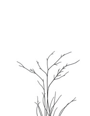 Obraz premium Silhouettes of bare branches against a black background.