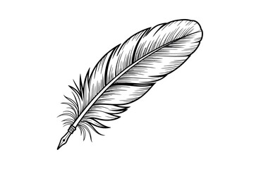 Elegant Quill Pen Illustration in Black and White Detailed Feather Design for Creative Projects and Writing Concepts