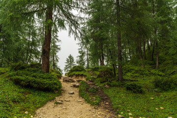 Rainy hiking trail in Dolomites, Italy. Dense fog, dramatic mountain scenery, moody weather, summer travel, outdoor adventure, nature exploration.
