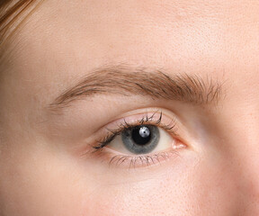 Obraz premium Eyebrow styling. Young woman with beautiful eyebrow, closeup