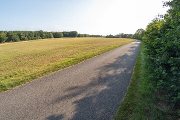 Naklejka premium Narrow asphalt road cutting through a dry field in summer