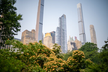 Fototapeta premium Skyline of modern skyscrapers rises above lush greenery in urban setting during a clear day in the city
