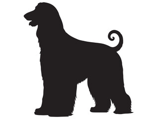 AFGHAN HOUND DOG SILHOUETTE