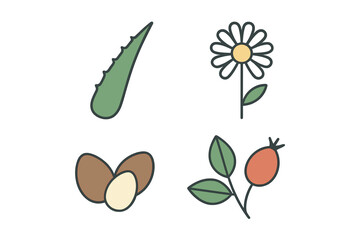 Obraz premium Colorful illustration of natural elements including aloe vera, daisy, seeds, and rosehip on a clean background