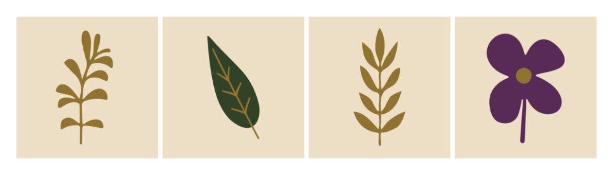 Colecci&oacute;n de elementos bot&aacute;nicos simples. Formas org&aacute;nicas, conjunto vectorial dibujado a mano.