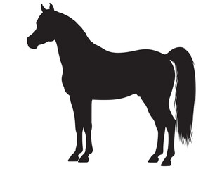 ARABIAN HORSE SILHOUETTE 