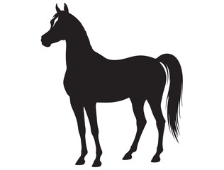 ARABIAN HORSE SILHOUETTE 