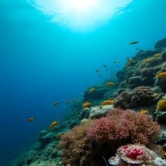 Fototapeta premium coral reef