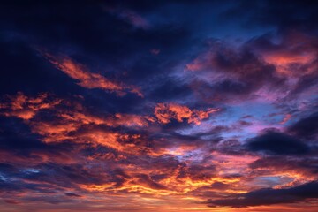 Naklejka premium Stunning close-up photos of wildflowers in vibrant colors, perfect for nature enthusiasts and floral designers searching for unique botanical images