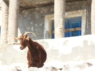 The Embros Thermal Baths