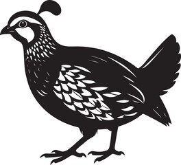 Fototapeta premium northern bobwhite quail vector silhouette, northern bobwhite quail clipart vector
