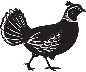 northern bobwhite quail vector silhouette, northern bobwhite quail clipart vector