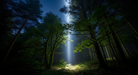 Fototapeta premium Mystical Light Beam Illuminating Ancient Forest at Dusk Ethereal Glow in a Dark Enchanted Woodland