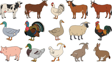 Fototapeta premium Collection of Farm Animals Cows, Chickens, Ducks, Pigs, Sheep, Goats, Rabbits and more