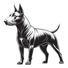 black bullterrier Silhouette Vector, High Quality Illustration on White Background
