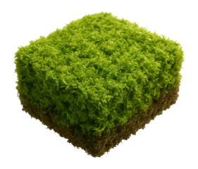 Fragment of peat moss with spongy texture and vibrant green color.