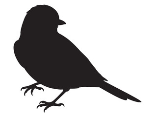 BLUEBIRD SILHOUETTE