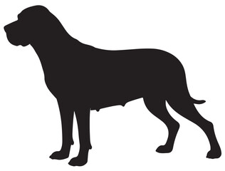 BRACCO ITALIANO DOG SILHOUETTE